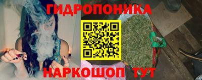 тгк Новозыбков
